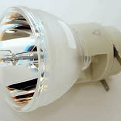 P1166 Bulb